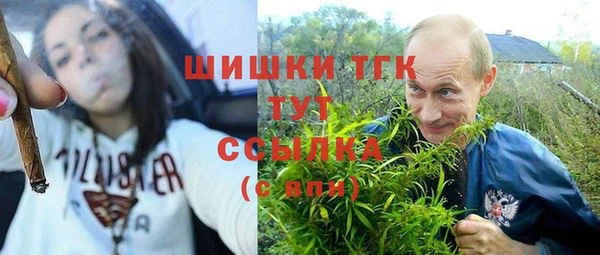 ПСИЛОЦИБИНОВЫЕ ГРИБЫ Магадан