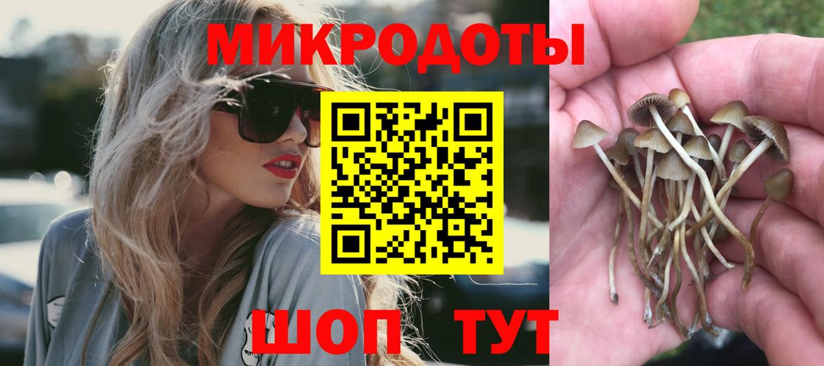Псилоцибиновые грибы мицелий Троицк