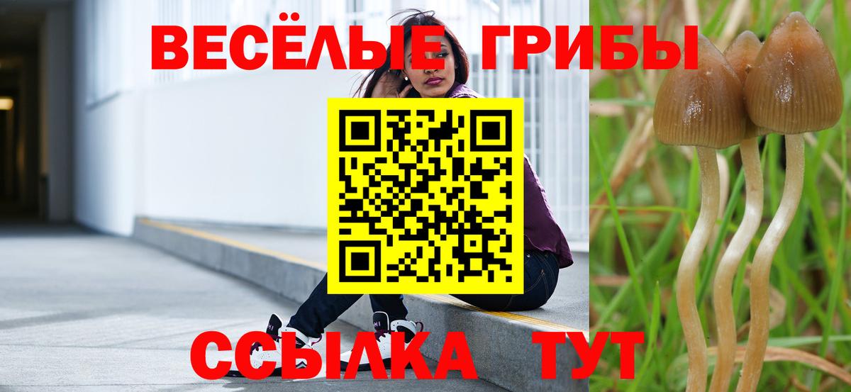 Троицк  Псилоцибиновые грибы MAGIC MUSHROOMS  Вход с VPN 