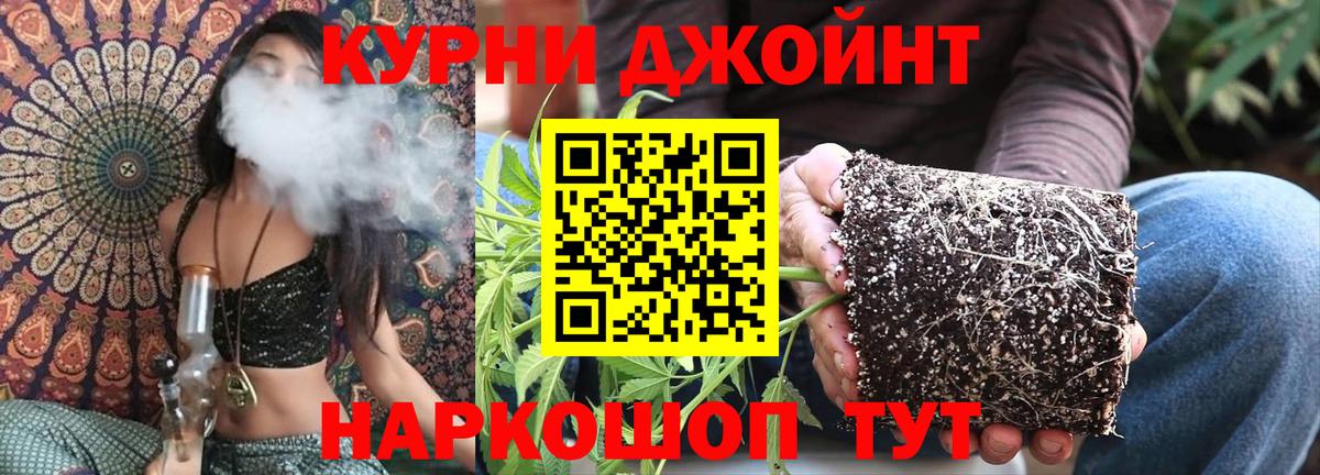 Конопля конопля Троицк